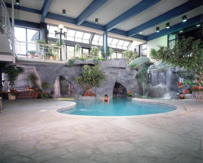 Отель Sidney James Mountain Lodge  Гатлинберг